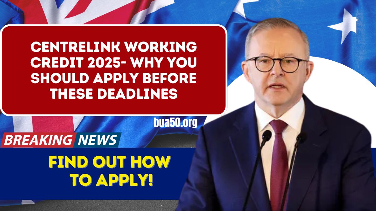 Centrelink Working Credit 2025- Why You Should Apply Before These Deadlines