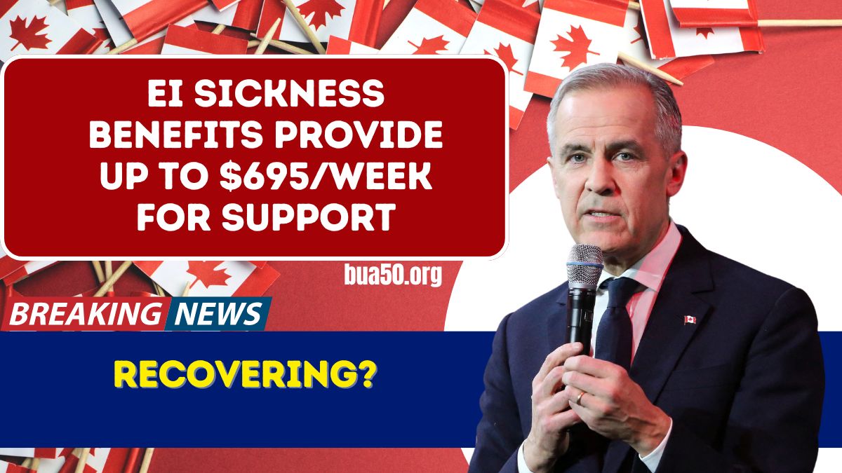 Recovering? EI Sickness Benefits Provide Up to $695/Week for Support